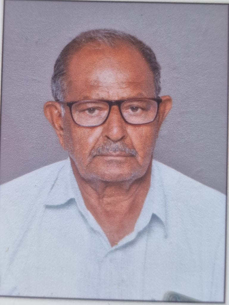 ધૂળાભાઈ વેણાભાઈ પટેલ